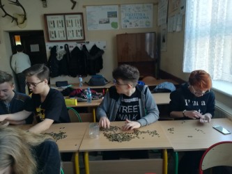 IMG 20190130 115333 IMG 20190130 115333
