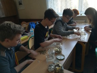 IMG 20190130 121049 IMG 20190130 121049